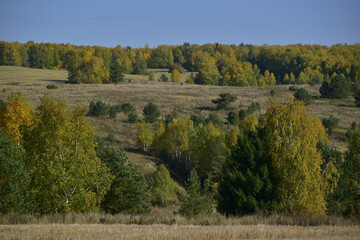 Autumn colors of the Ural forest and agricultural fields. Dry and warm autumn in the foothills of the Western Urals.