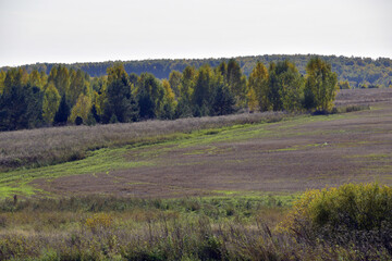 Autumn colors of the Ural forest and agricultural fields. Dry and warm autumn in the foothills of the Western Urals.