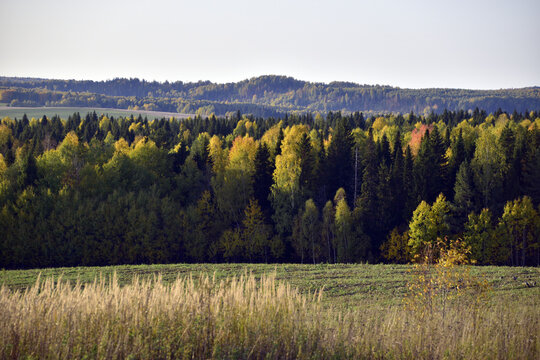 Autumn colors of the Ural forest and agricultural fields. Dry and warm autumn in the foothills of the Western Urals.