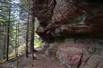 Rochers de grès sur un sentier de randonnée, Rochers du Heinschloss en Moselle, France