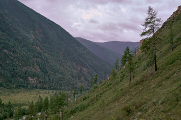 Fototapeta premium mountains in the Altai Republic