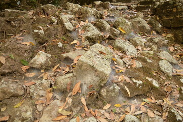 The Mayan ruins in the temple city of Copan in the jungle of Honduras, Central America