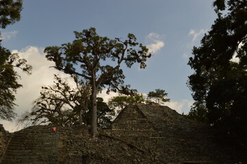 The Mayan ruins in the temple city of Copan in the jungle of Honduras, Central America