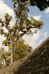 Fototapeta na wymiar The Mayan ruins in the temple city of Copan in the jungle of Honduras, Central America