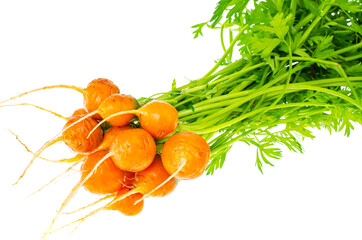 Bunch of fresh round carrots, organic vegetables, vegetarian food.