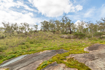 Landscape in the John Forrest National Park, Perth, Western Australia