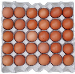 Brown eggs in egg paper box for cooking