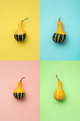 halloween pumpkin set