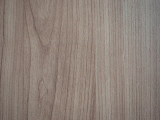 Surface of brown wood in closeup