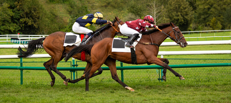 Course hippique, cheval au galop pour la premi&egrave;re place.