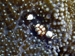 Exif_JPEG_PICTURE © dario