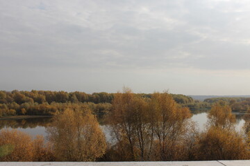 autumn in the forest