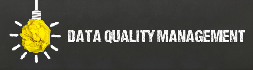 Data Quality Management 