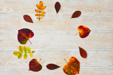 frame autumn leaves copy space text