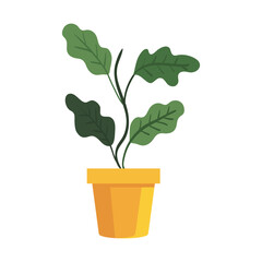 Plant inside pot design of Floral nature garden ornament botany decoration beauty and flora theme Vector illustration