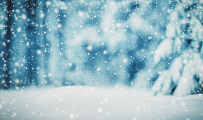 Beautiful tree in winter landscape in late evening