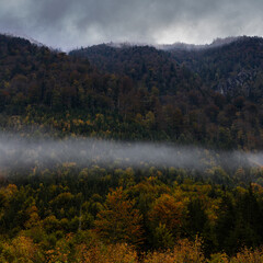 autumn colors in the mountains with fog