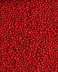 Red berries of fresh hawthorn on a tray standing on a wooden table