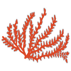 
A flat icon vector of cnidaria coral reef
