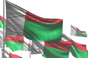 Obraz premium nice many Madagascar flags are waving isolated on white - illustration with soft focus - any occasion flag 3d illustration..