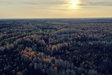 autumn forest landscape, view from a drone, aerial photography viewed from above in October park