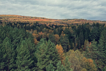 Fototapeta na wymiar autumn forest landscape, view from a drone, aerial photography viewed from above in October park
