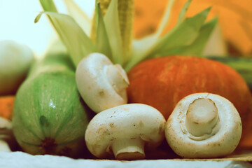 autumn vegetable composition close - up