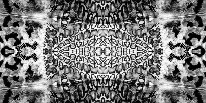 Snakeskin Patterns. Gray Mixed Tiles. Monochrome