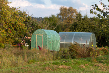 Fototapeta na wymiar Greenhouses in the countryside. Harvesting in greenhouses