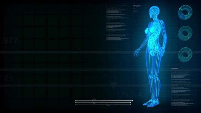 Healthcare seamless looping background with x-ray human body and digital text effects for overlay or backdrop use with place for yor objects - 4K 60fps UHD 3D animation