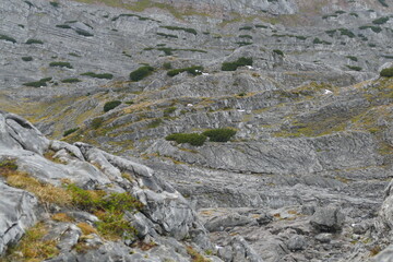 im steinernen Meer