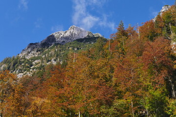 Herbst in den Bergen