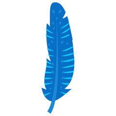 
A bird leaf in different color known as tail feather 
