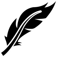 
A bird leaf in black color known as tail feather 
