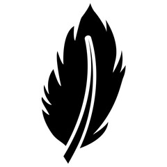 
A bird leaf in black color known as tail feather 
