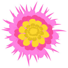 
Flat icon design of lily flower 
