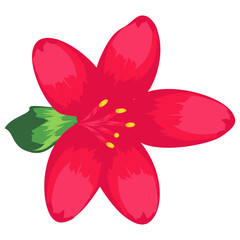 
Flat icon design of lily flower 
