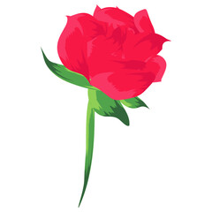 Fototapeta na wymiar Red rose bud with green stem 