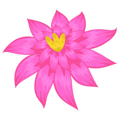 
A beautiful aster flower flat icon design 
