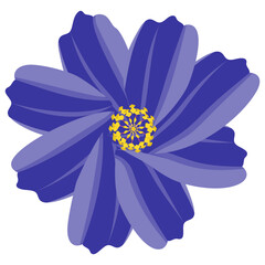 
A beautiful aster flower flat icon design 
