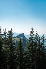 Zwischen B&auml;umen guckt ein Berggipfel im Chiemgau, Bayern, hervor. Sommermorgen mit Nebel im Tal, im Hintergrund ein Gebirge.