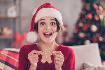 Photo of lovely young lady hold gingerbread man biscuit wear santa headwear red sweater decorated living room indoors