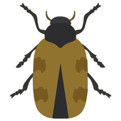 
Stag beetle with two arms containing sting
