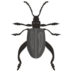 
A insect having legs with depicting beetle 
