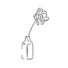 flower in a bottle hand graphic

