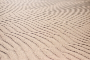 Desert sand ground close up for climate warming emergency crisis concept - arid planet earth and no water - desertification problem for everybody