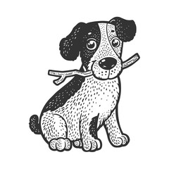Cute puppy pet sketch raster illustration