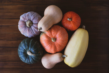 Colorful pumpkins on dark wooden rustic background.