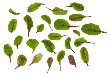 beet baby leafs isolated on white background