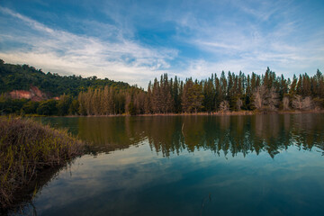 Blurred nature background view of naturally occurring trees and reflection on the water surface,...
